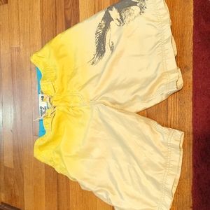 American Eagle Swin Trunks